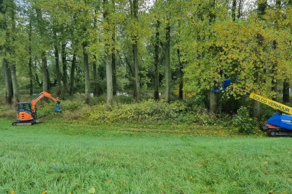 blawit hero header blawit hero header