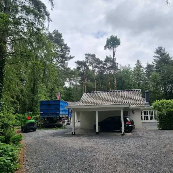 20240523_114618 20240523_114618