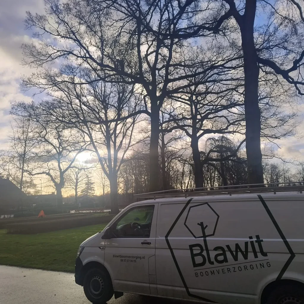 Over Blawit Boomverzorging