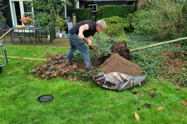 planten van bomen planten van bomen